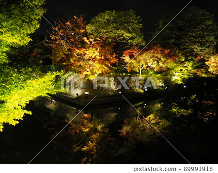 秋葉照亮Toji寺廟 89991918