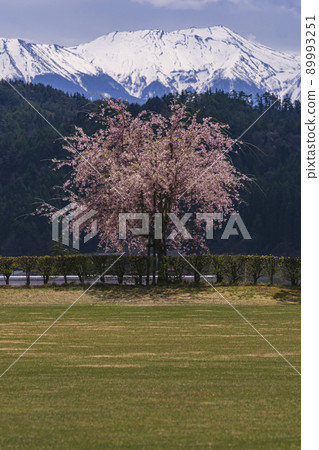 210425 廣野 g184 89993251