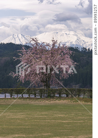 210425 Hirono g084 210425 Hirono g084 89993257