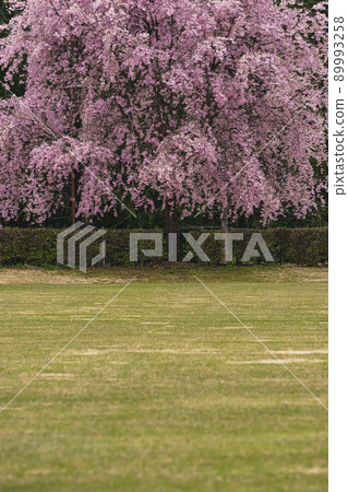 210425 廣野 g070 89993258