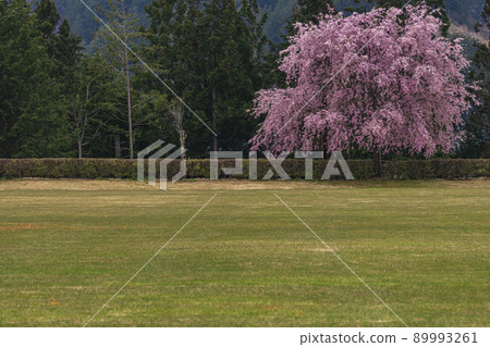 210425 廣野 g003 210425 廣野 g003 89993261