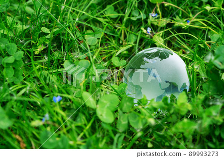 earth protection and sustainable ecology development 89993273