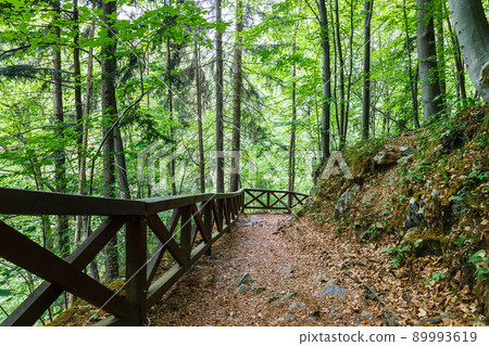 Walking trail in the mountains with wooden handrails Walking trail in the mountains with wooden handrails 89993619