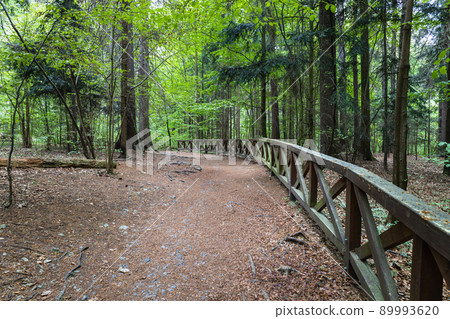 Walking trail in the mountains with wooden handrails 89993620