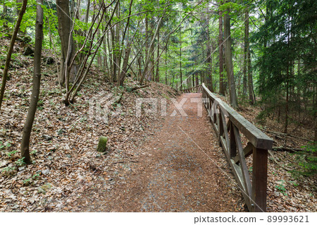 Walking trail in the mountains with wooden handrails 89993621