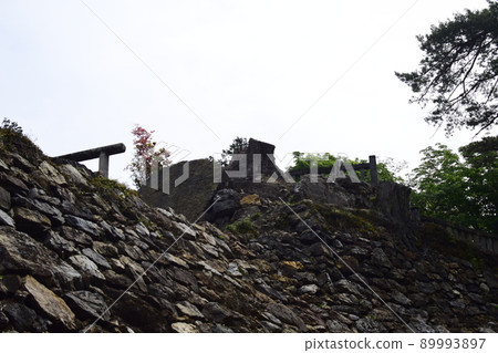 Stone wall of Karasawayama castle ruins in Tochigi 89993897