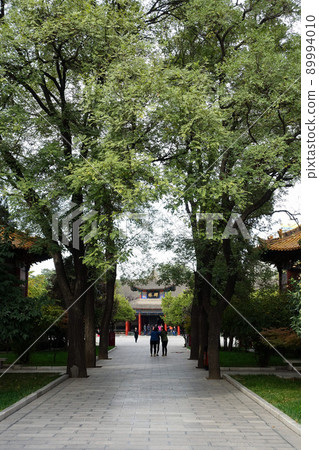 Beautiful scenery of Xian, China 89994010