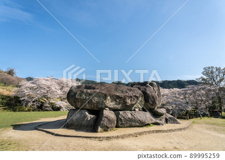 Nara Sakura Ishibutai Tumulus 89995259