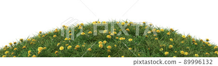Grassy hill with dandelions isolated on a white background. 3d image 89996132