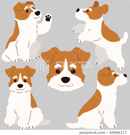 Simple and cute Wire Fox Terrier illustration set without main line 89996217