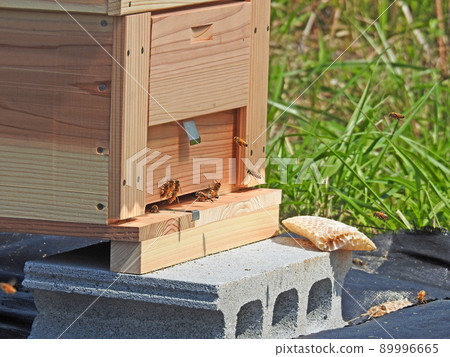 木蜂箱和蜜蜂嗡嗡飛舞 89996665