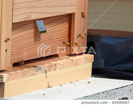 木製蜂箱和飛蜂 89996667