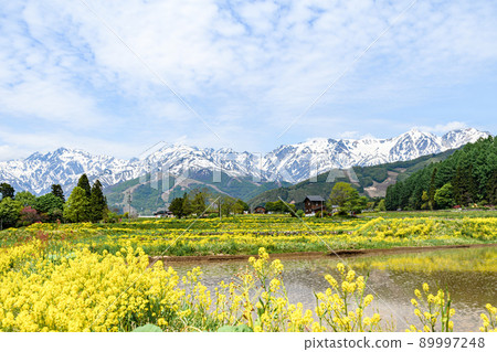 春天北阿爾卑斯山 89997248