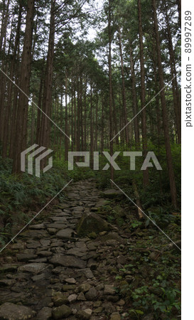 Stone pavement of Magoshi Pass on Iseji, Kumano Kodo, a UNESCO World Heritage Site in Kinomoto-cho, Kumano City, Mie Prefecture, on the Kii Peninsula 89997289