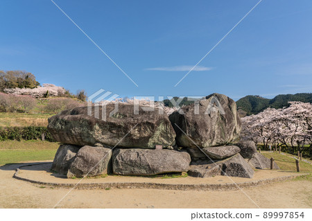 Nara Sakura Ishibutai Tumulus 89997854