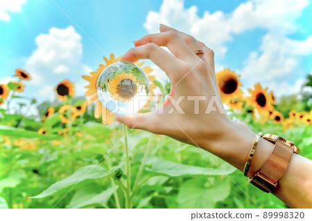 Sunflower over the crystal Sunflower over the crystal 89998320
