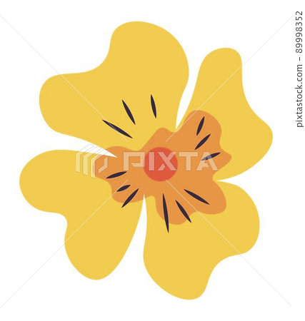 Wildflower in blossom, blooming flourishing plant 89998352