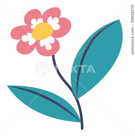 Flower in blossom, blooming wildflower with leaves 89998356