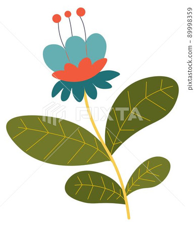 Flower in blossom, wildflower blooming plants 89998359