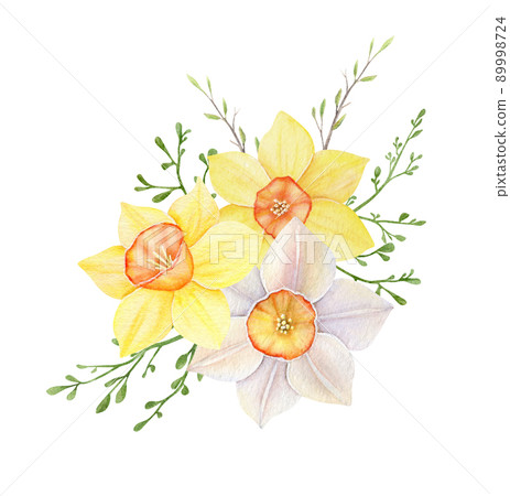 Watercolor bouquet of yellow and white daffodils. Hand painted illustration with spring flowers isolated on white background 89998724