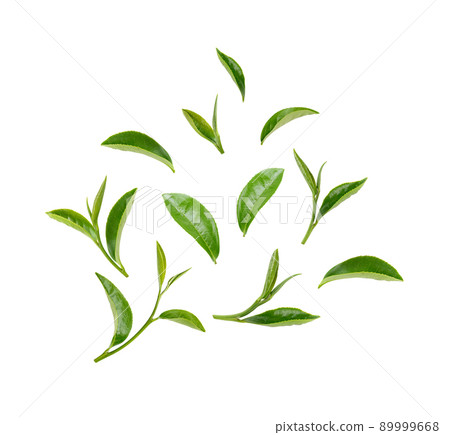 Green tea leaves isolated on white background Green tea leaves isolated on white background 89999668