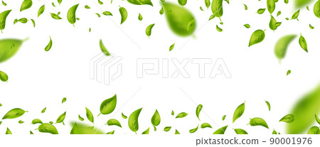Green flying leaves frame. Organic cosmetic pattern border. Fresh tea background. Leaf falling. Wave foliage ornament. Vegan, eco, bio design element. Beauty product. Vector illustration Green flying leaves frame. Organic cosmetic pattern border. Fresh tea background. Leaf falling. Wave foliage ornament. Vegan, eco, bio design element. Beauty product. Vector illustration 90001976