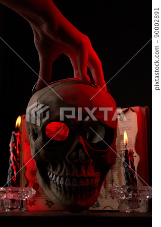 Vertical shot of female hand over the humans skull. 90002891