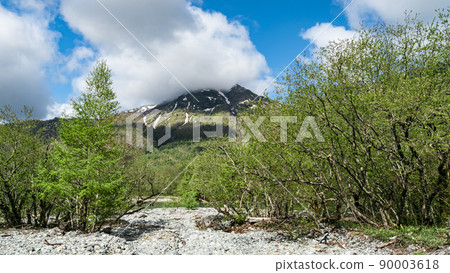 Early summer in Kamikochi, a scenic spot in Matsumoto City, Nagano Prefecture 90003618