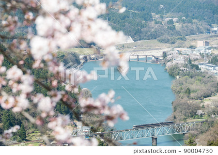 [Jinzu River Bridge] Limited express train crossing the Sakura-blooming iron bridge 90004730