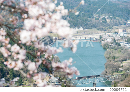 [Jinzu River Bridge] Limited express train crossing the Sakura-blooming iron bridge 90004731
