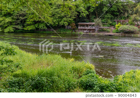 Kakita River Park, one of Japan's three major clear streams 90004843