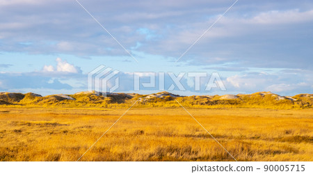 Amazing landscape at the Wadden Sea in St Peter Ording Germany 90005715