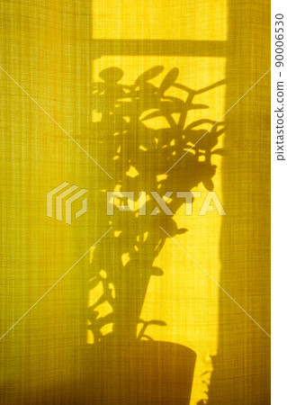 Unusual shadows and silhouettes from plants on yellow textiles. Trendy abstract background. 90006530