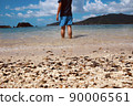 South island and blue sea 90006561