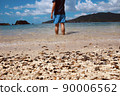 South island and blue sea 90006562