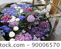 Early summer flowers 90006570