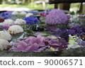 Early summer flowers 90006571