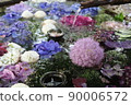 Early summer flowers 90006572