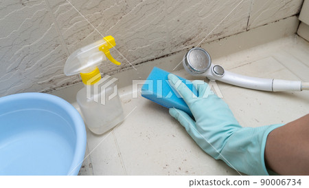 Cleaning mold in the bath 90006734