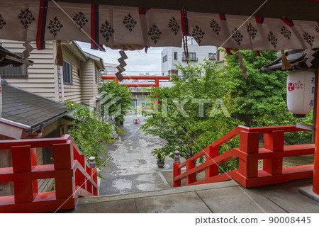 五棱神社，堀江幸宮--大阪市西區南堀江（新鮮的綠色季節早晨） 90008445
