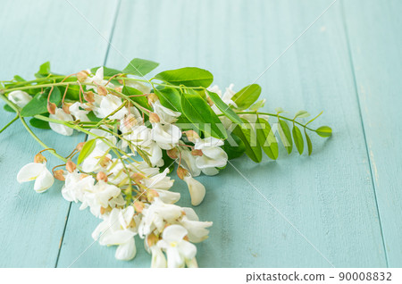 Flower of falseacacia Flower of falseacacia 90008832