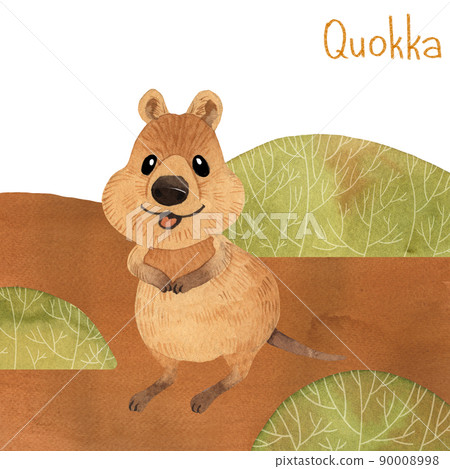 Cute kawaii hand drawn watercolor art. Smiling australian quokka 90008998