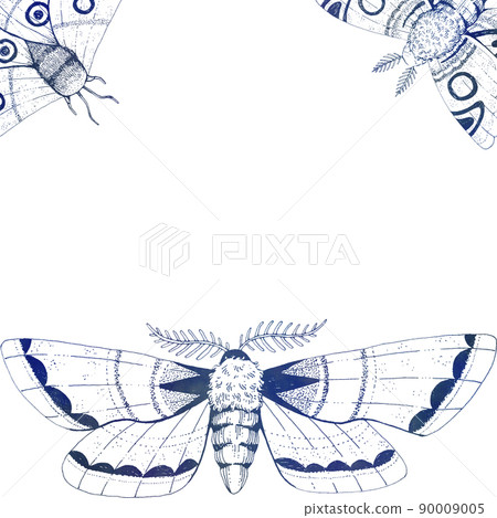 BLue frame hand drawn ink moth. Template framework 90009005