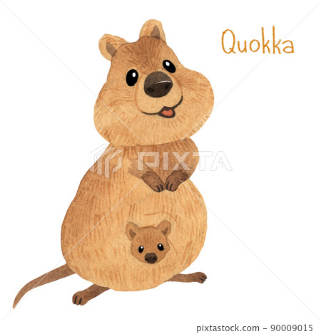 Cute kawaii hand drawn watercolor art. Smiling australian quokka Cute kawaii hand drawn watercolor art. Smiling australian quokka 90009015