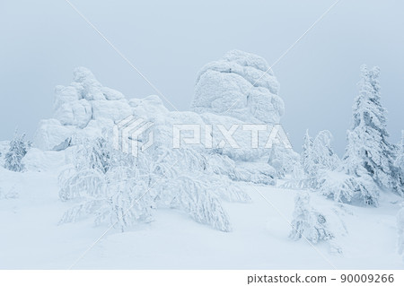 Rock cliff is covered with fluffy frost. Winter weather at top of mountain. Low temperatures froze trees and rocks into ice. Coniferous forest in haze as in fairy tale Rock cliff is covered with fluffy frost. Winter weather at top of mountain. Low temperatures froze trees and rocks into ice. Coniferous forest in haze as in fairy tale 90009266