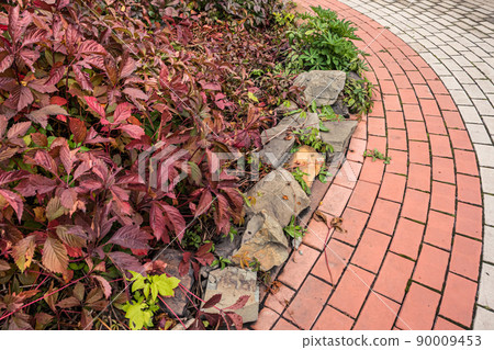 Cobblestone stone sidewalk with flower bed. Landscaping of town, ensuring safety of pedestrians. Accessible environment and environmental friendliness of city. Old cobblestones form atmosphere of 90009453