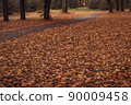 Yellow leaves covered ground in city park. Tree trunks in autumn rainy forest. Sad atmosphere 90009458
