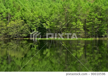 遮蓋新鮮綠色森林的三沙凱池 90010596