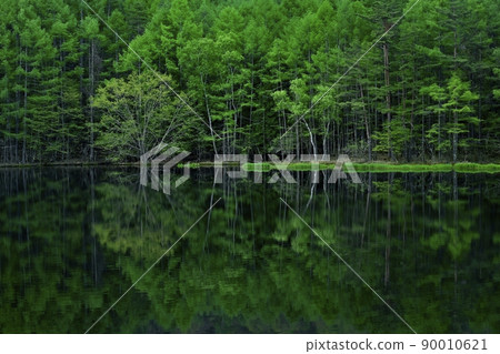 Mishakaike Pond overshadowing the fresh green forest 90010621