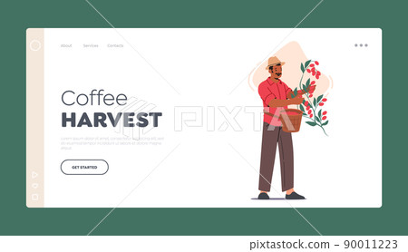 Coffee Harvest Landing Page Template. Farmer Work on Plantation, Male Character Picking Harvesting Berries from Branch Coffee Harvest Landing Page Template. Farmer Work on Plantation, Male Character Picking Harvesting Berries from Branch 90011223